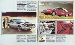 1981 Ford Thunderbird-10-11.jpg